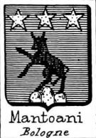 Mantoani Coat of Arms / Family Crest 0