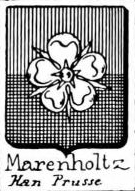 Marenholtz Coat of Arms / Family Crest 1