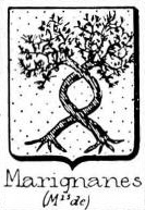 Marignanes Coat of Arms / Family Crest 0