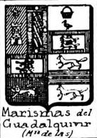 Marismas