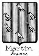 Martin Coat of Arms / Family Crest 35