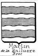 Martin Coat of Arms / Family Crest 48
