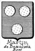 Martin Coat of Arms / Family Crest 50