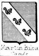 Martin Coat of Arms / Family Crest 52