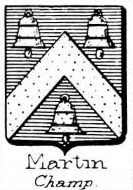 Martin Coat of Arms / Family Crest 19