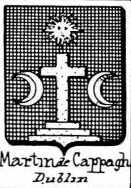 Martin Coat of Arms / Family Crest 64