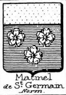Matinel Coat of Arms / Family Crest 0