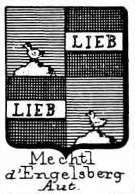 Mechtl Coat of Arms / Family Crest 2