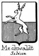 Mechwaldt Coat of Arms / Family Crest 0