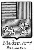 Medin Coat of Arms / Family Crest 2