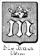 Meduna Coat of Arms / Family Crest 0