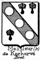 Meilleur Coat of Arms / Family Crest 0