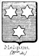 Melgum Coat of Arms / Family Crest 0