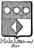 Melzi Coat of Arms / Family Crest 4