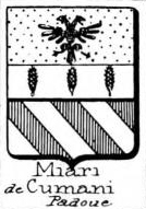 Miari Coat of Arms / Family Crest 2