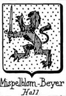 Mispelblom Coat of Arms / Family Crest 0