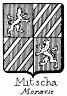 Mitscha Coat of Arms / Family Crest 0
