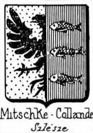 Mitschke Coat of Arms / Family Crest 0