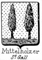 Mittelholzer Coat of Arms / Family Crest 0