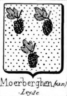 Moerberghen Coat of Arms / Family Crest 0