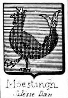 Moestingh Coat of Arms / Family Crest 0