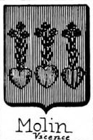 Molin Coat of Arms / Family Crest 6