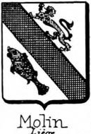 Molin Coat of Arms / Family Crest 2