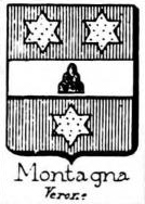 Montagna Coat of Arms / Family Crest 3