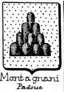 Montagnani Coat of Arms / Family Crest 0
