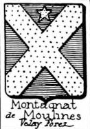 Montagnat Coat of Arms / Family Crest 0