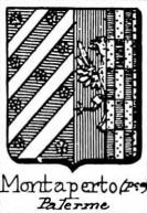 Montaperto Coat of Arms / Family Crest 5