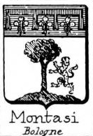 Montasi Coat of Arms / Family Crest 0