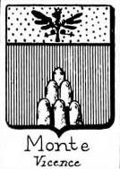 Monte Coat of Arms / Family Crest 2
