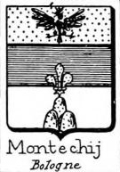 Montecchij Coat of Arms / Family Crest 0