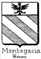 Montegacia Coat of Arms / Family Crest 0