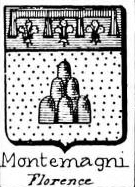 Montemagni Coat of Arms / Family Crest 1