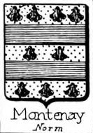 Montenay Coat of Arms / Family Crest 0
