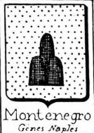 Montenegro Coat of Arms / Family Crest 1