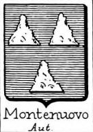 Montenuovo Coat of Arms / Family Crest 0