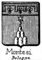 Montesi Coat of Arms / Family Crest 1