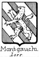 Montgauchi Coat of Arms / Family Crest 0