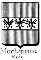 Montginot Coat of Arms / Family Crest 0