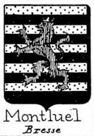 Montluel Coat of Arms / Family Crest 0