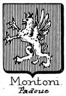 Montoni Coat of Arms / Family Crest 0