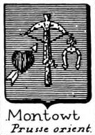 Montowt Coat of Arms / Family Crest 0
