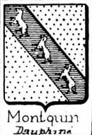Montquin Coat of Arms / Family Crest 0