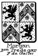 Morgan Coat of Arms / Family Crest 3