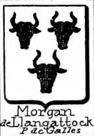 Morgan Coat of Arms / Family Crest 1