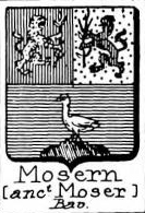 Mosern Coat of Arms / Family Crest 2