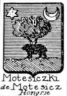 Motesiczki Coat of Arms / Family Crest 0